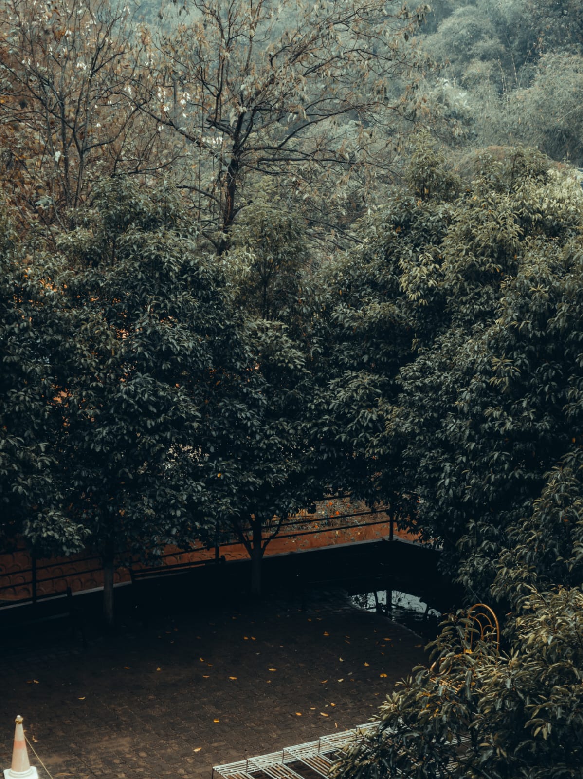 Shot on Mobile